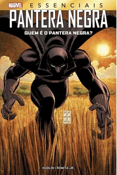 PANTERA NEGRA: QUEM É O PANTERA NEGRA