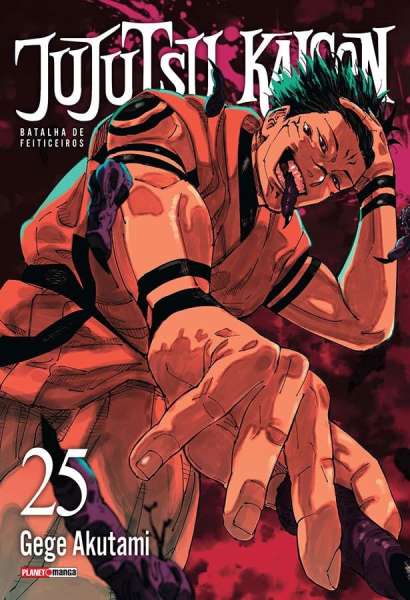 JUJUTSU KAISEN • VOL. 25