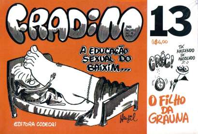 FRADIM: A EDUCAÇÃO SEXUAL DO BAIXIM... - N° 13