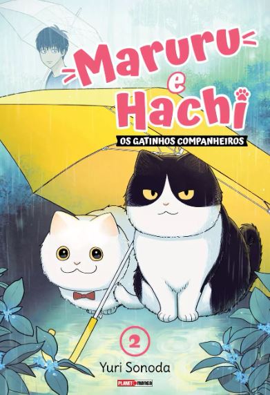 MARURU E HACHI: OS GATINHOS COMPANHEIROS 02
