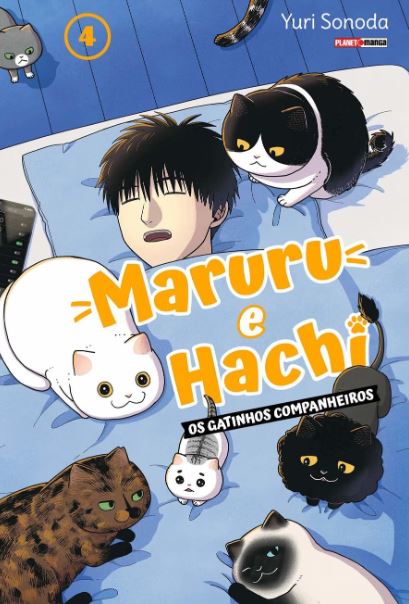 MARURU E HACHI: OS GATINHOS COMPANHEIROS 04